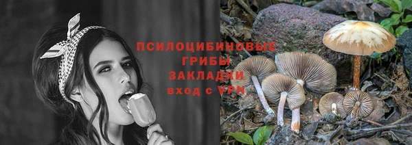 гидропоника Алзамай
